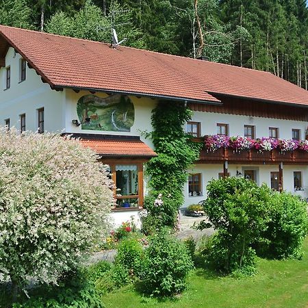 Haus Am Waldrand - Ferienwohnung Augustin Grafenau  Εξωτερικό φωτογραφία