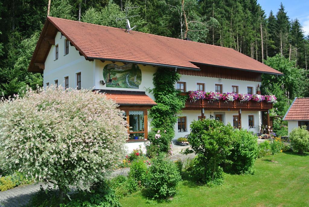 Haus Am Waldrand - Ferienwohnung Augustin Grafenau  Εξωτερικό φωτογραφία